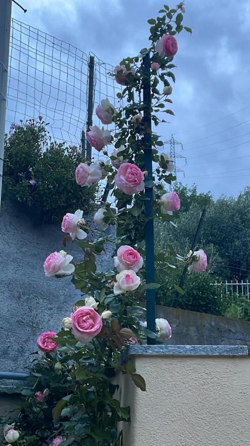 Gli Agrumi Giustenice Dış mekan fotoğraf
